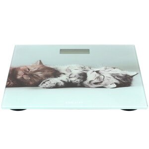 Изображение товара Весы DEXP SCL-30P разноцветный