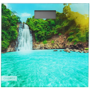 Изображение товара Электронные весы Energy EN-419K разноцветные с рисунком природы