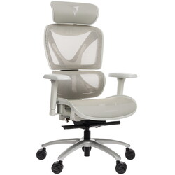 Изображение товара Компьютерное кресло ThunderX3 TH3-XCTMG серый