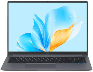 Изображение товара 16" Ноутбук HONOR MagicBook X16 2025 серый