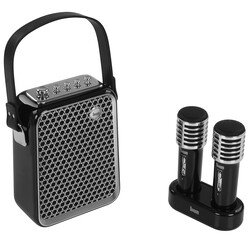 Изображение товара Портативная колонка Divoom SongBird-HQ 2, черный