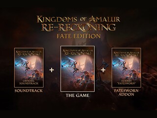 Изображение товара Игра Kingdoms of Amalur: Re-Reckoning FATE Edition (Steam)