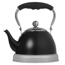 Изображение товара Чайник ALPENKOK AK-543 черный
