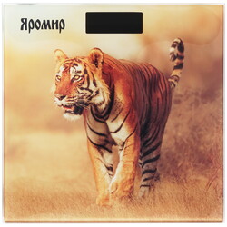 Изображение товара Весы Яромир ЯР-4201 разноцветный