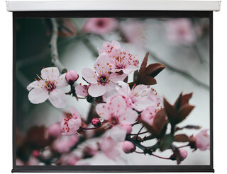 Изображение товара 150" Экран для проектора Digis Electra-F DSEF-4305