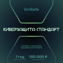 Изображение товара Защита интернет подключения Unisafe Киберзащита Стандарт