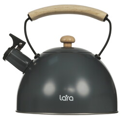 Изображение товара Чайник для плиты LARA LR00-92 серый