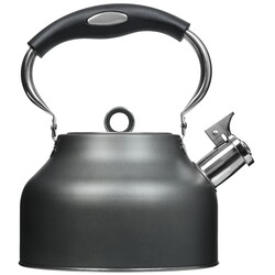 Изображение товара Чайник для плиты Regent inox TEA 93-TEA-49 серый