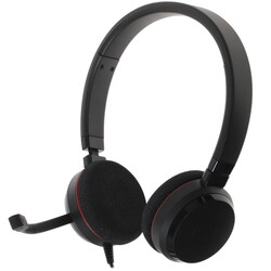 Изображение товара Проводные наушники Jabra Evolve 20 MS Stereo  черный 2021