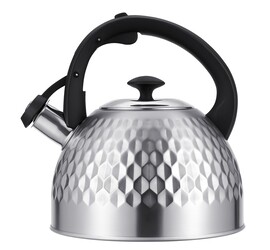 Изображение товара Чайник для плиты Regent inox TEA 93-TEA-50 серебристый