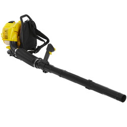 Изображение товара Воздуходувка Champion GBR333