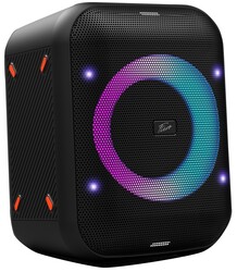 Изображение товара Портативная аудиосистема Fiero Emotion 100 FR800, черный