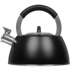 Изображение товара Чайник для плиты Regent inox TEA 93-TEA-52 черный