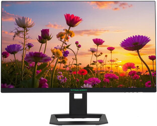 Изображение товара 27" Монитор Titan Army P275MV черный