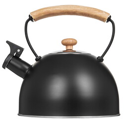 Изображение товара Чайник Pomidoro Napoli P-650206 черный