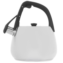 Изображение товара Чайник для плиты Polaris Mela-2.5L серебристый