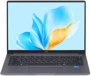 Изображение товара 14" Ноутбук HONOR MagicBook X14 2025 5301ALWG/FRG-X серый