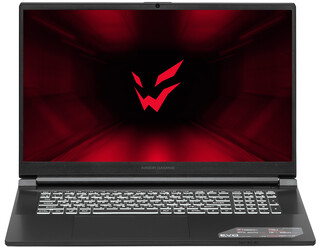 Изображение товара 17.3" Ноутбук ARDOR Gaming EVO E17-I7ND401 черный
