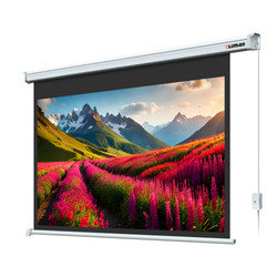 Изображение товара 110" Экран для проектора Lumien Master Control LMC-100103