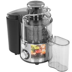 Изображение товара Соковыжималка электрическая Galaxy Line GL 0810 серебристый