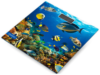 Изображение товара Весы Energy EN-419 M разноцветный