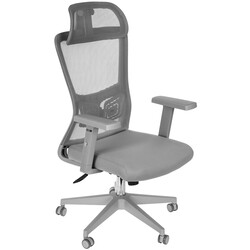 Изображение товара Компьютерное кресло FLOKY Ember Flow 2 серый