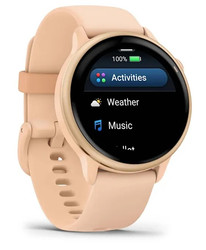 Изображение товара Спортивные часы Garmin Vivoactive 6