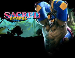 Изображение товара Игра Sacred Citadel (Steam)