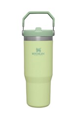 Изображение товара Термокружка Stanley IceFlow Flip Straw Tumbler 10-09993-197 зеленый