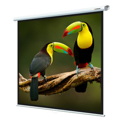 Изображение товара 67" Экран для проектора Lumien Eco Picture LEP-100106