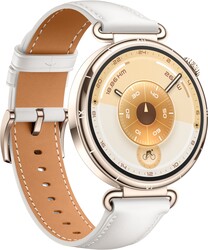 Изображение товара Смарт-часы HUAWEI WATCH GT 6 41 mm