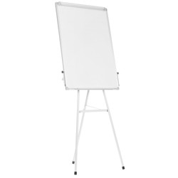 Изображение товара Доска-флипчарт Aceline BW-F70100