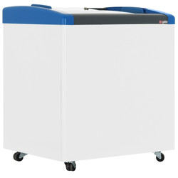 Изображение товара Морозильный ларь Frostor Gellar FG 250 E белый, синий