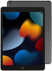 Изображение товара 10.2" Планшет Apple iPad (9th Gen) Wi-Fi 256 ГБ серый