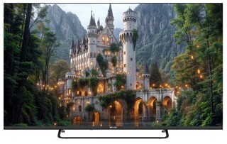 Изображение товара 55" (139 см) Телевизор EVO TV 55 черный