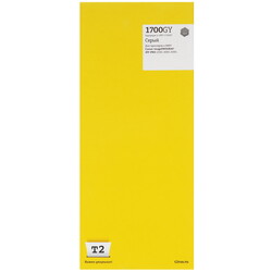Изображение товара Картридж T2 IC-CPFI-1700GY серый