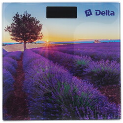 Изображение товара Весы Delta D-9302 разноцветный