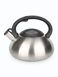 Изображение товара Чайник для плиты TimA WTK059 серебристый