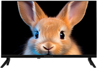 Изображение товара 24" (61 см) Телевизор Topdevice TDTV24ES13H_BK черный