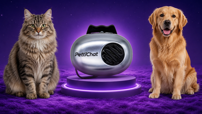 PettiChat представила Pet Translator — ИИ-гаджет для перевода с кошачьего и собачьего