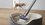 Вертикальный пылесос  Dyson V8 Absolute  серебристый