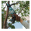 Сабельная пила Makita JR103DWAE CXT 12V