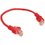 Патч-корд Cablexpert PP12-0.25M/R
