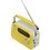 Радиоприемник Ritmix RPR-045 желтый