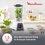Statsionar blender MOULINEX LM2C0110 oq