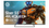 55" (140 см) Телевизор Sber SDX-55UQ6033 серый