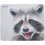 Коврик DEXP Racoon OM-XS (XS) разноцветный