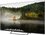 43" (109 см) Телевизор DEXP 43UEG1 черный