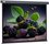 71" Экран для проектора Cactus Wallscreen CS-PSW-127X127-SG