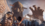 Игра God of War – PlayStation Hits (PS4)